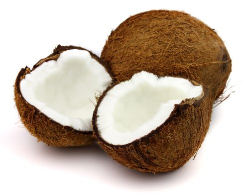 kelapa2